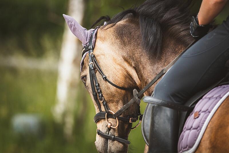 cours d'équitation dans un camping en Bretagne