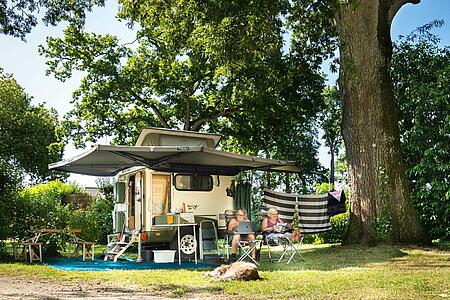 A couple enjoying their holiday outside a modern camper van with an extended awning next to a large tree, reading a book and using a laptop on a grassy campsite.