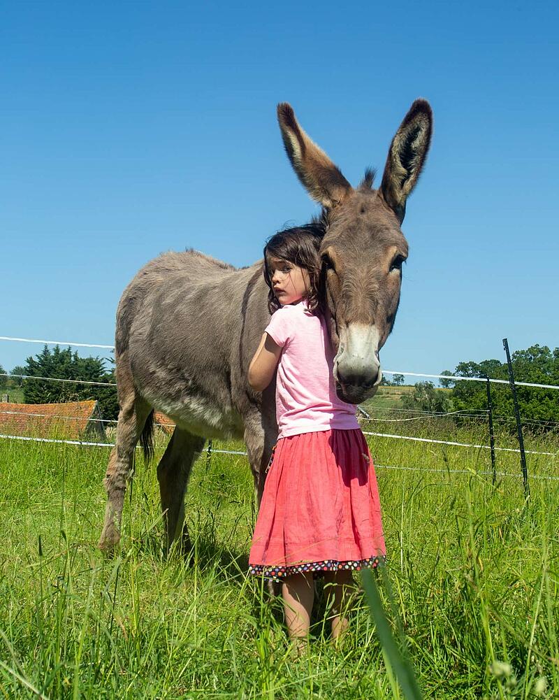 Young girl in a pink shirt hugging a large donkey in a grassy field at a Les Castels campsite.