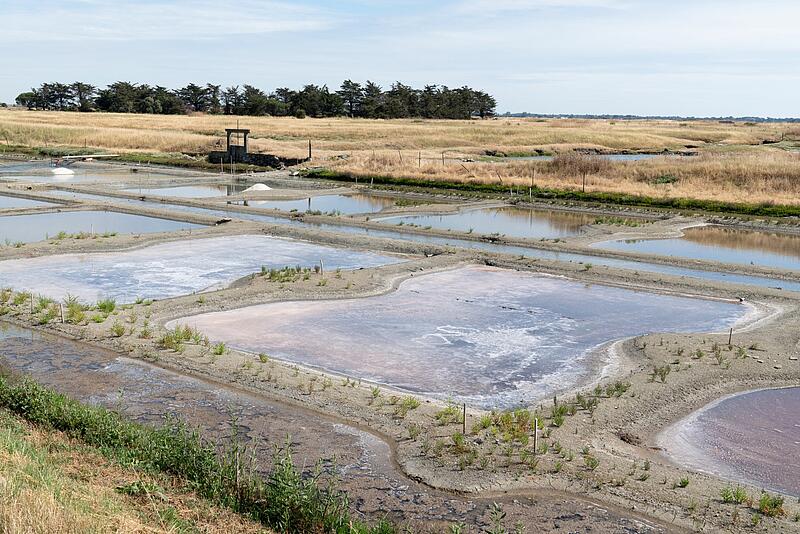 balade dans les marais salants de la Vendée