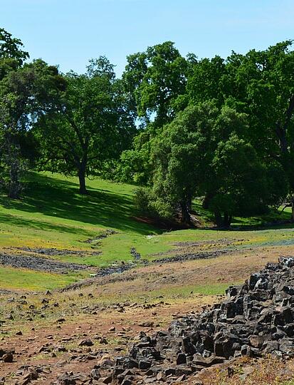 Randonnées dans la Creuse : nos secrets de balades pour découvrir le cœur du Limousin
