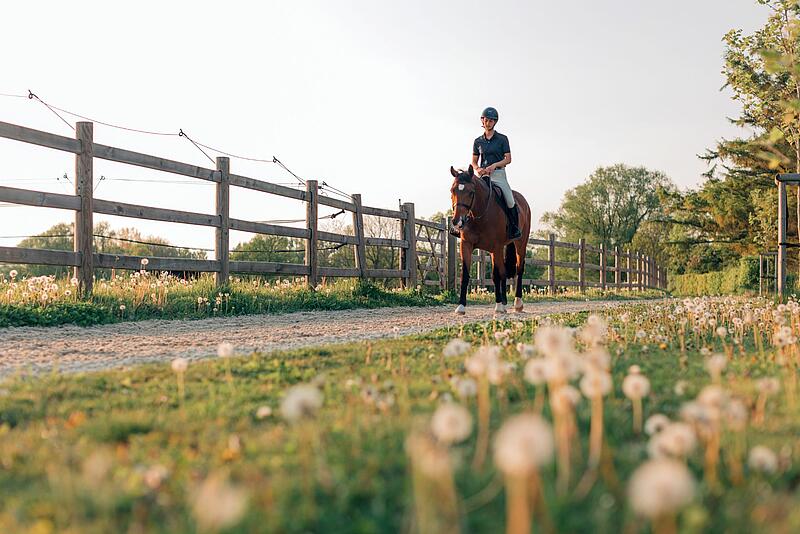 faire de l'équitation dans un camping de luxe en France