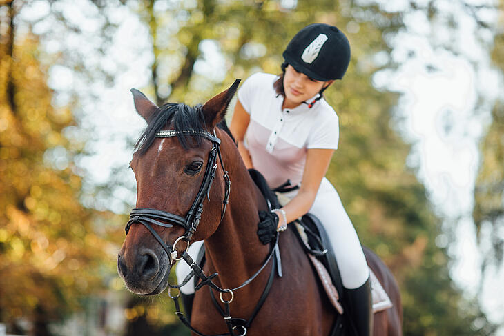 équitation vacances camping