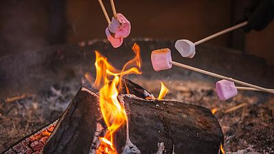 Que manger en camping ? Nos idées et astuces pour des repas gourmands en plein-air