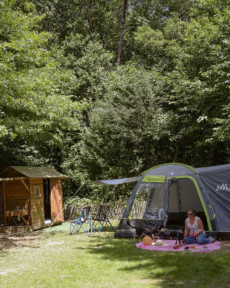 A spacious, grassy campsite pitch at a Les Castels campsite, equipped with an exclusive private wooden cabin, and happy pets enjoying the outdoors.