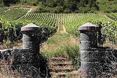 Route des vins de Bourgogne : découvrez les plus beaux itinéraires