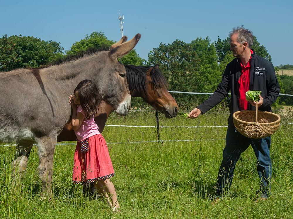 Camping Castel Camping Château de Lez-Eaux Saint Pair sur mer Normandie 11