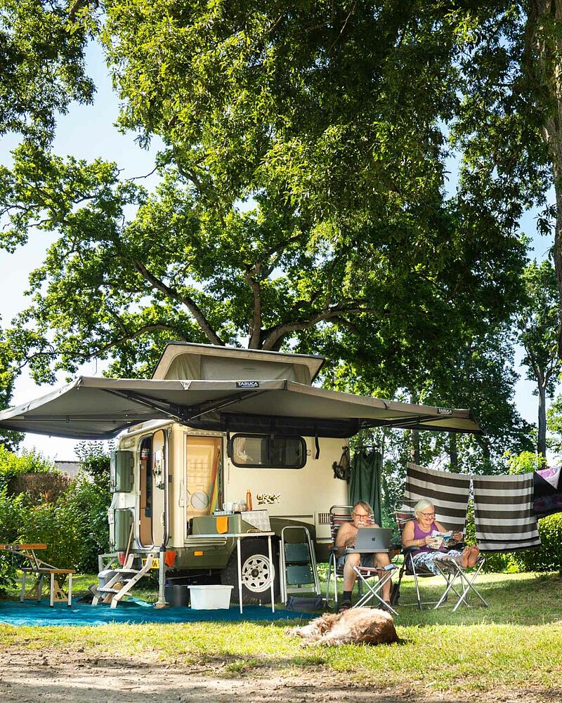 A couple sits in folding chairs using a laptop outside their pop-up camper under a large awning, with their dog lying in the grass beneath tall shade trees.