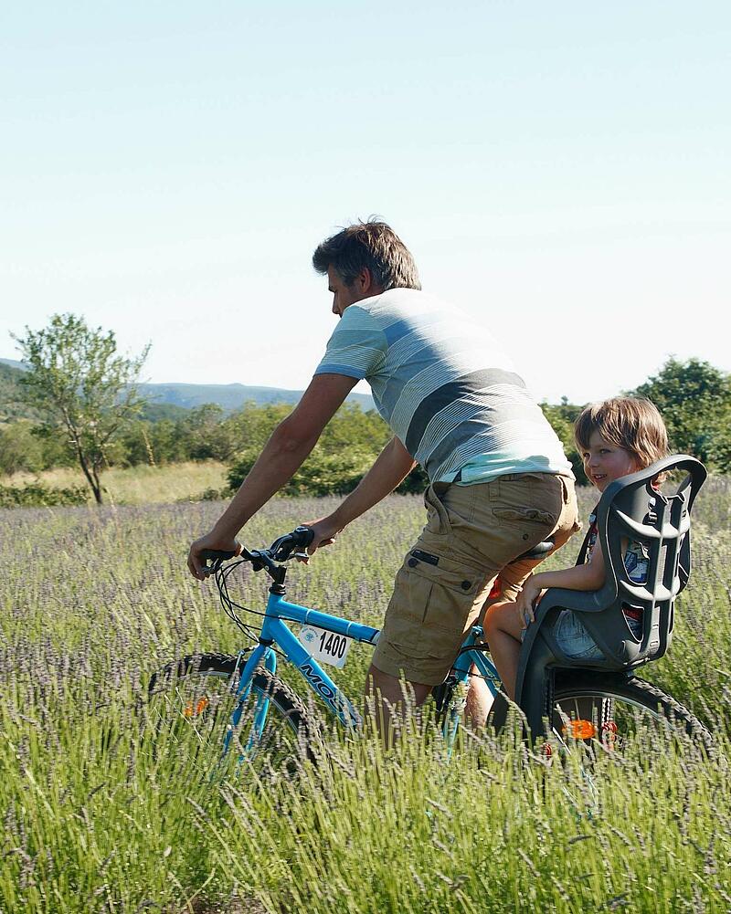 A father and child cycling through a scenic lavender field during their holiday at Les Castels Ardeche campsite.