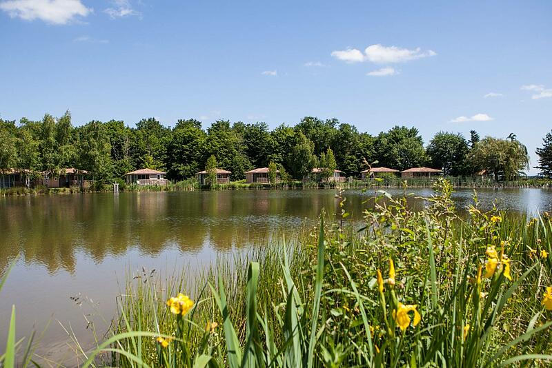 Wooden holiday cottages facing a peaceful fishing lake surrounded by dense green forest at a high-end Les Castels holiday resort.
