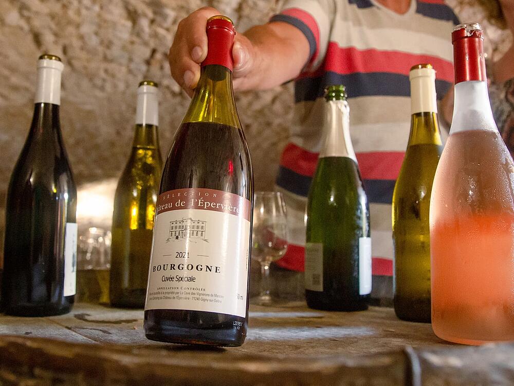 Camping Castel Camping Château de L'Epervière Gigny-sur-Saône Bourgogne-Franche-Comté 9