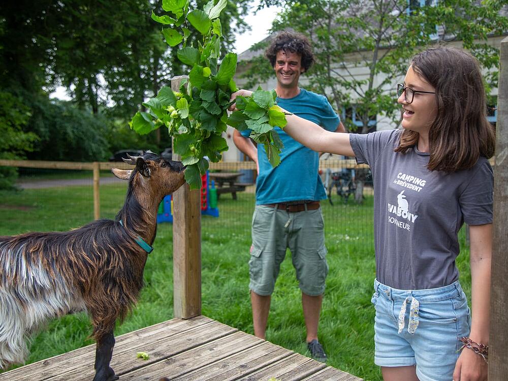 Camping Castel Camping Le Brévedent Le Brévedent Normandie 5
