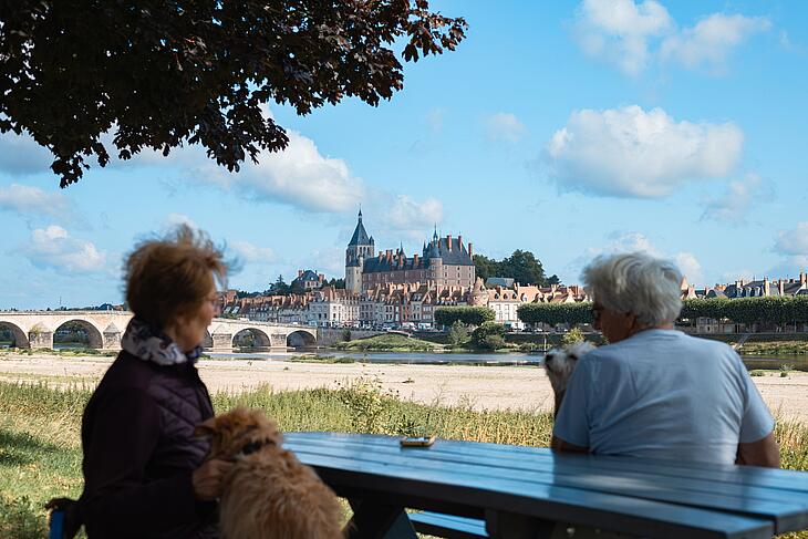 les bords de Loire en Sologne Bords de Loire dans le Loiret