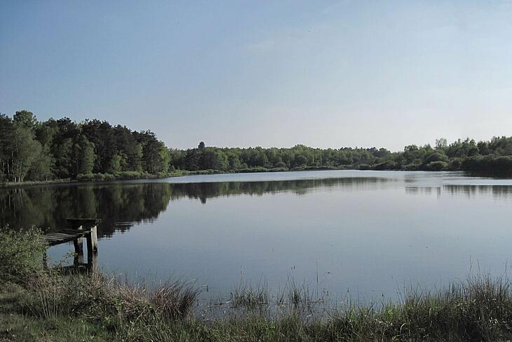 vue d'un étang en sologne
