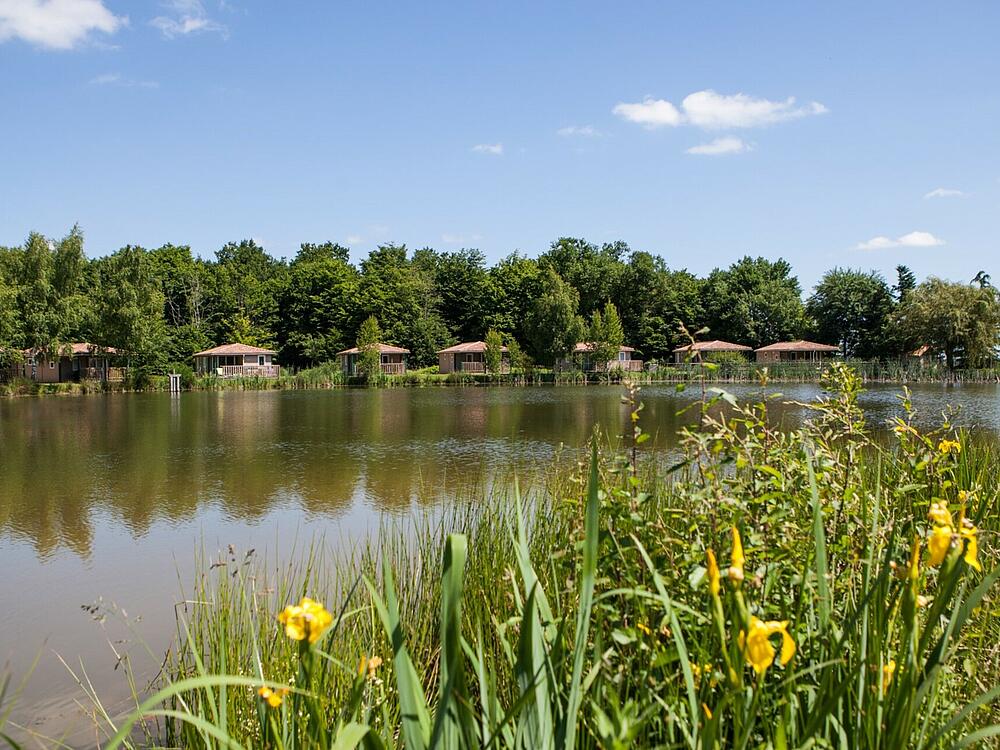 Camping Castel Camping Les Bois du Bardelet GIEN Centre-Val de Loire 0