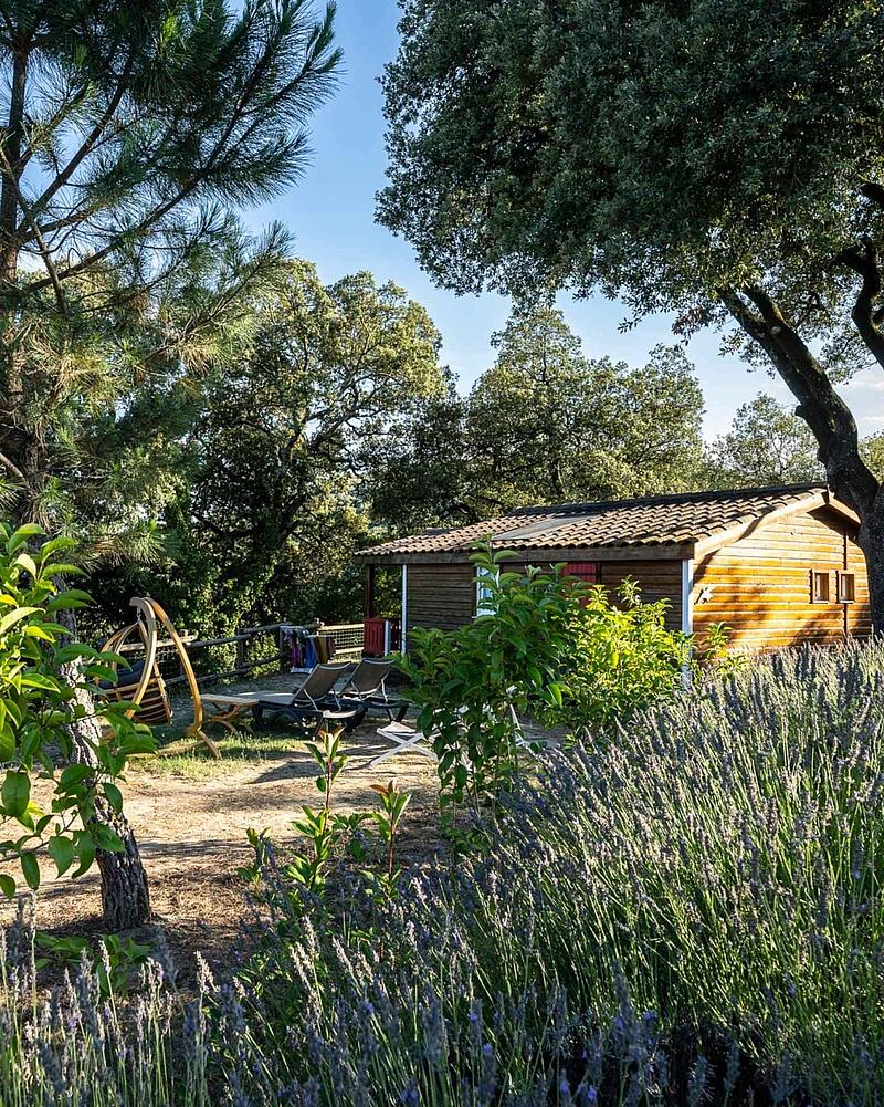 Premium wooden chalet surrounded by lavender at Castels Domaine de Sévenier, Ardèche, France. A cozy wooden chalet nestled among green trees and blooming purple lavender bushes at Castels camping Domaine de Sévenier.