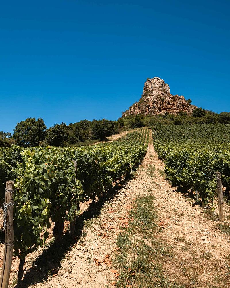 Lush green rows of grapevines in a vineyard leading up to a large rocky outcrop under a clear blue sky, located near Les Castels 5-star campsites in Burgundy, France, a destination for premium campsites France.