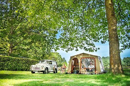 A classic white vintage Morris Minor Traveller car parked next to a canvas tent under large green trees, with senior campers relaxing on chairs on a sunny day.