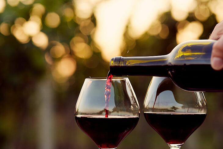 visite et dégustation de vin lors de vacances en camping dans la Sarthe