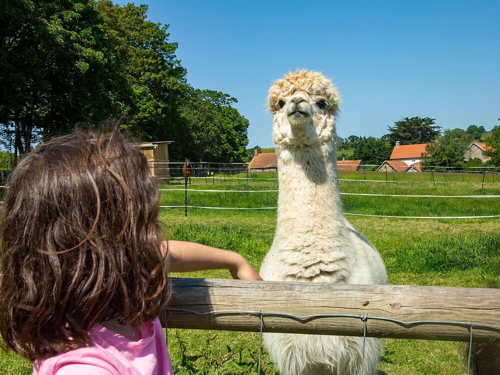 Camping Castel Camping Château de Lez-Eaux Saint Pair sur mer Normandie 10