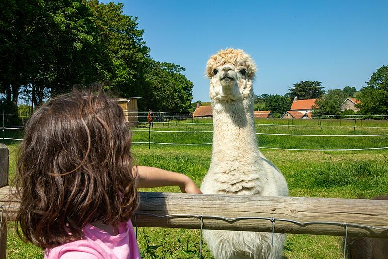 Un camping de luxe proche de Honfleur