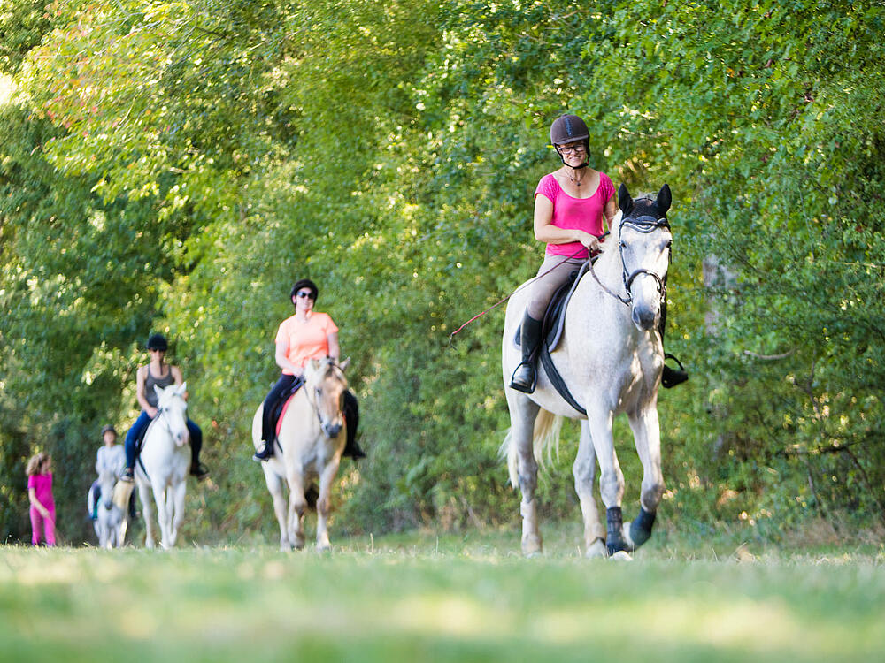 Camping Castel Camping La Garangeoire Saint Julien des Landes Pays de la Loire 15